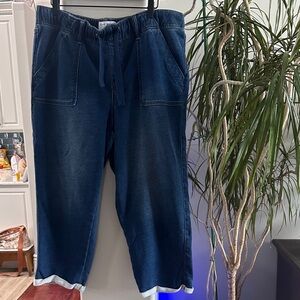 Lane Bryant Blue Capris SZ 14